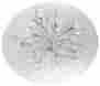 55502-ch 10-light Access Lighting Sol Dome Flush Mount Id 1610003 641594018141