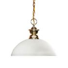 100701pb-dmo14 Z-lite Shark Polished Brass 685659055115