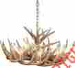 12-antler Cabela S Cabelas Cascade Reproduction Whitetail Antler Chandelier