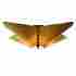 123307-10 Hubbardton Forge Black 4 Light Semi-flush Ceiling Fixture J-d-61 884656600148