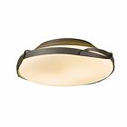 126740-05-g97 Hubbardton Forge Hubbarton Flora