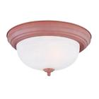 202022625 Hampton Bay 2-light Copper 725916822903
