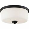 220f3 Flush Mount Medium Matte Opal 685659017595