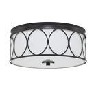 225131mb-683 Capital Lighting Light Flush Mount Rylann 841740124379
