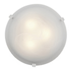 23020led Access Lighting D-wh-alb 1-light 641594198393