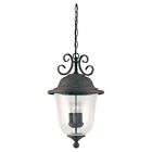 6059-46 3-light Aurora Carver Outdoor Bronze Pendant Seeded Glass Lamp