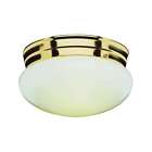 3618 Pb Trans Globe Box Of Polished Brass Flush 736916164702