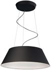 405503048 Philips Hanging Pendant Light 616604964299