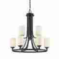 435-9brz Z-lite 9 Light Chandelier Glass New 685659050080