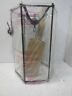 5233-782 Sea Gull Lighting Bretton Pendant Light 785652523373