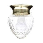 5519-b603-2 Chapter Acorn Indoor Ceiling Flushmount Light With Led 039208221856