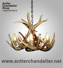 Wtr-1 6-8lamps Antler Chandelier Shop Inc Real Whitetail Single Tier Deer Rustic Lights