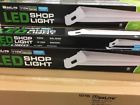641606961892 Max Lite 3 Pack