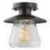 64846 Ceiling Bronze Light Globe Semi-flush Mount Electric Rubbed Oil 1