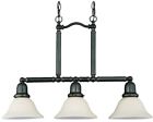66061-782 Sea Gull Lighting Sussex 0785652660672
