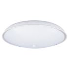 6910-14 Sea Gull Lighting Fixture White Glass And