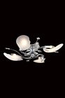 7444f26c Elegant Light Mounts Ec 4 Petal Chrome Flush Lighting