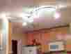 878452 Hampton Bay Line Voltage 10 Flexible Track Lighting Halogen Bulbs White Lights 773546154956