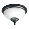 88048pen3-12 Sea Gull Two Light Outdoor Ceiling Flush Mount 0785652048074