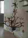 9556 Isabella Currey And Company 20 Inch 3 Light Chandelier
