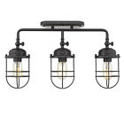 9808-lsf Blk Golden Lighting Seaport Black Mount 844375068315