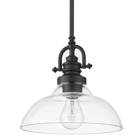 In21147bk Acclaim Lighting In21147 Virginia 1 Light 9 Inch W Pendant - Black