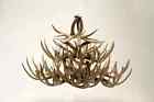Hp-66616 Antlers Lbs. Deer 24x41 Chandelier 14 Lights 44 Whitetail 27 Antler