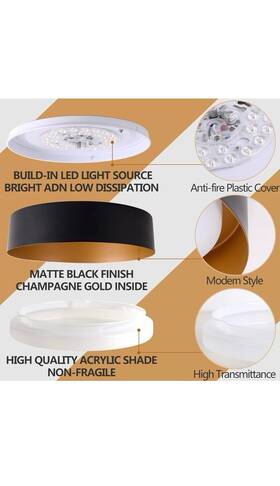 1003us-bg3000 Bargeni Flush Mount Ceiling Light 12.5 Inch Led Matte Black With Gold Inside