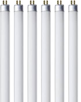 F8t5cw Bulbmaster 747565581741 Fluorescent Bulbs 12 Inch - F8t5 8w Cool White 4100k Under Cabinet