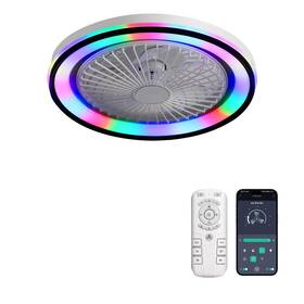 Sm-001 Caci Mall Rgb Ceiling Fan With Lights And Remote Low Profile Flush Mount Mod