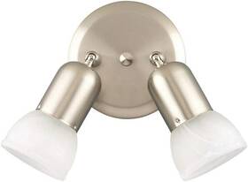 Icw92-bpt Canarm Icw92 Bpt Jasper Double Head Directional Spot-light Brushed Pewter