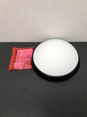 Capital Lighting 841740142021 Matte Black 2032mb Flush Mount Ceiling Fixture 2-light Bowl
