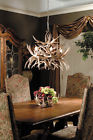Hp-66605 Cascade Lighting Whitetail 24x30 Antler Chandelier Rustic 19 Horns Usa