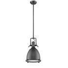 Ch58022bk14-dp1 Chloe Industrial Retro Design Hanging Ceiling Pendant Light 013964815047