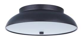 Craftmade 647881219734 Soul Ceiling Light In Flat Black