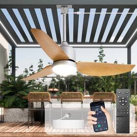 Ws-fpz184-18c-42ne-ap Depuley 42-inch Ceiling Fans With Lights Outdoor Waterproof Fan For