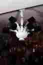 Dhl004-9ch Dream Home Lighting 9lt Chandelier Mushroom