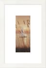 Dpf-132813-0410-260 Global Gallery Coastal At Last By Diane Romanello Framed Graphic