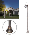 Eylsos-0270 Tp Lighting Deluxe Golden Black Finished Outdoor Post 688989609157