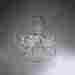 Fany Lighting Crystal 6 Light Globe Chandelier Orb Pendant Sphere Lamp Home Ceiling 0742889402888