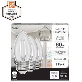 Feit Electric 744759735027 60-watt Equivalent B10 E26 Medium Dim White Filament Clear Glass Chandelier Led