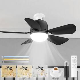 Fl2012b5b Flrongsun E26 Socket 20 Inch Fan Light Ceiling 5 Level Speed Three Color Temperature Sm