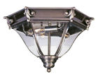 2628-29 Flush Mount Fleur Outdoor De Lis