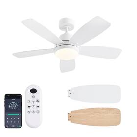 Gg-57 Gjeg Ceiling Fans With Lights 42 Inch Low Profile Fan And Rem