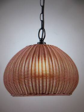 44761 Globe Salvador 1-light Bronze Outdoor Indoor Plug-in Pendant Light With Shade