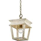 0839-m1l Golden Lighting Bc Haiden Mini Pendant Burnished Chestnut