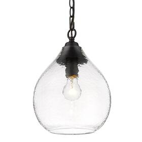 1094-s-hcg Golden Lighting 1094-s Ariella 10 Inch W Mini Pendant - Matte Black / Seafoam