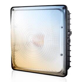 Slclqs100mw-1p Goldinfu Led Canopy Light 100w 40/60/80/100w Selectable 5000k 15000lumens Commercial