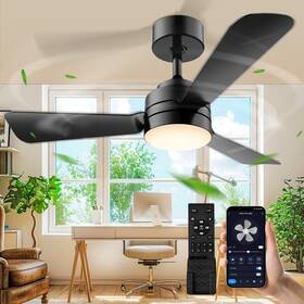 Cm-fl-28 Hinomy Ceiling Fans With Lights 28 Inch Small Fan Light Easy-to-install Ceil