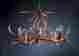 Hp-66592 Bighorn Hughes Products Company Inc The Elk Chandelier 26x38 8 Lights Usa Made